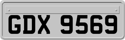 GDX9569