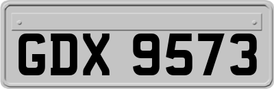 GDX9573