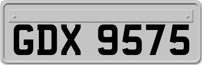 GDX9575