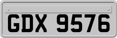 GDX9576