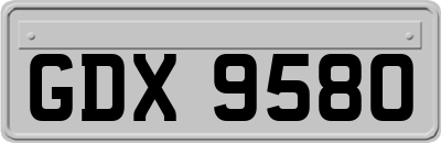 GDX9580