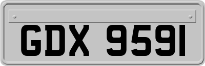 GDX9591