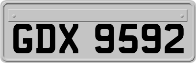 GDX9592