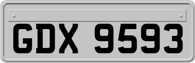 GDX9593
