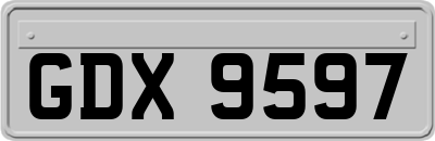 GDX9597