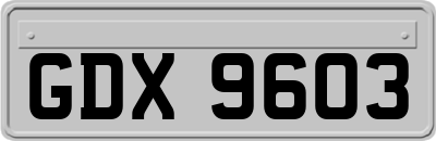GDX9603