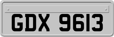 GDX9613