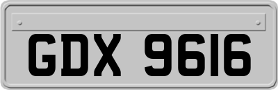 GDX9616