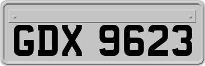 GDX9623