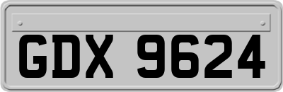 GDX9624