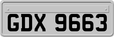 GDX9663