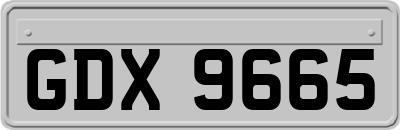 GDX9665