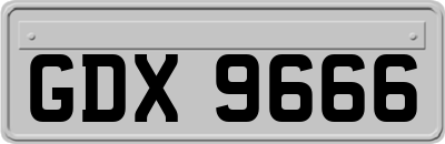 GDX9666