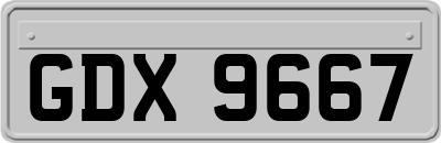 GDX9667