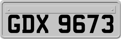 GDX9673
