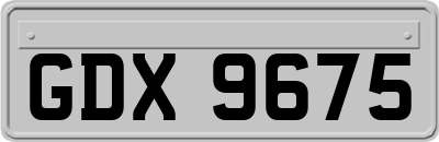 GDX9675