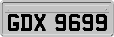 GDX9699