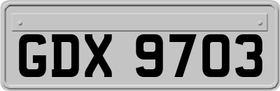 GDX9703
