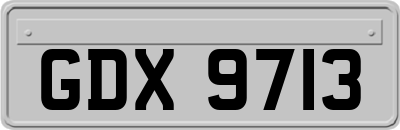 GDX9713