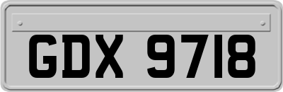 GDX9718
