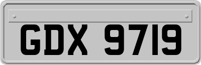 GDX9719