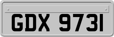 GDX9731