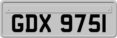 GDX9751