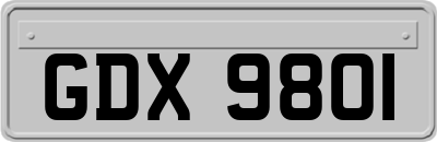 GDX9801
