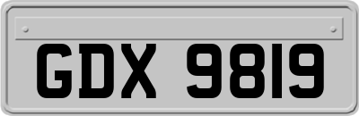 GDX9819