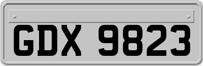 GDX9823