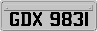GDX9831