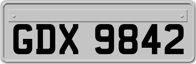 GDX9842