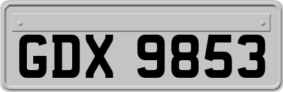 GDX9853