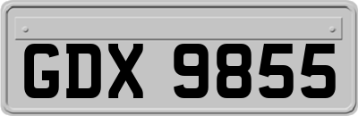 GDX9855