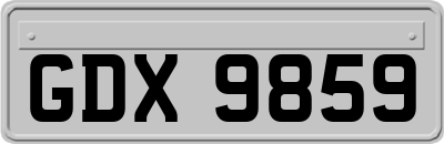 GDX9859