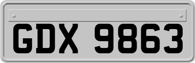 GDX9863