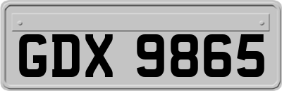 GDX9865