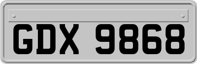 GDX9868