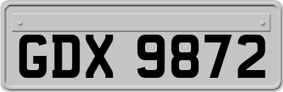 GDX9872