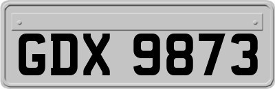 GDX9873