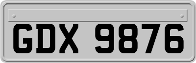 GDX9876