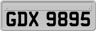 GDX9895