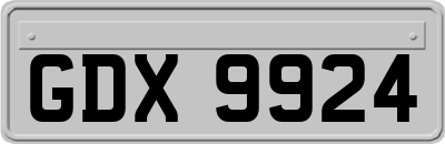GDX9924