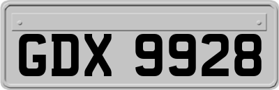 GDX9928