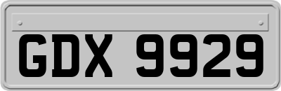 GDX9929