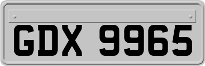 GDX9965