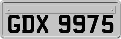 GDX9975