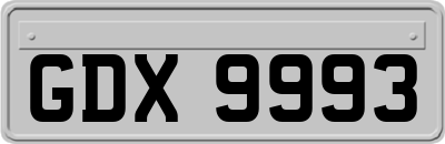 GDX9993