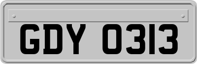 GDY0313