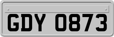 GDY0873